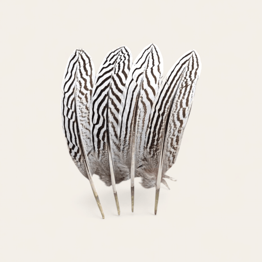 FEATHER PHEASANT - RebelSoulHatx