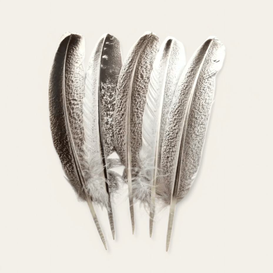 FEATHER PHEASANT - RebelSoulHatx