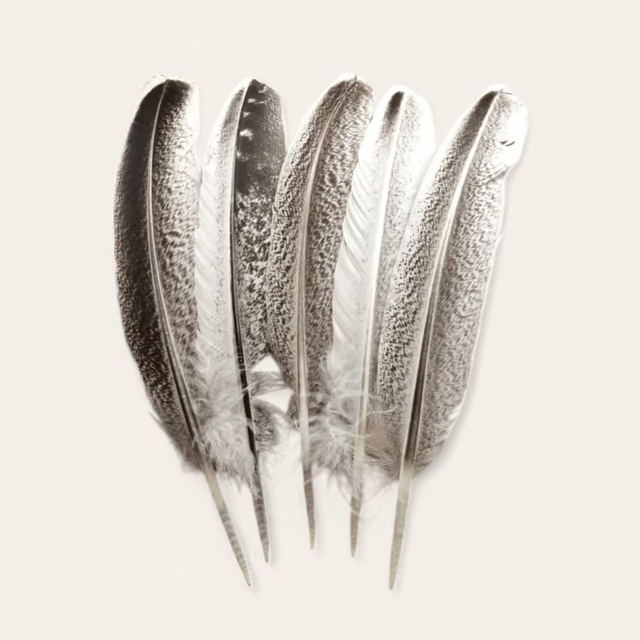 FEATHER PHEASANT - RebelSoulHatx