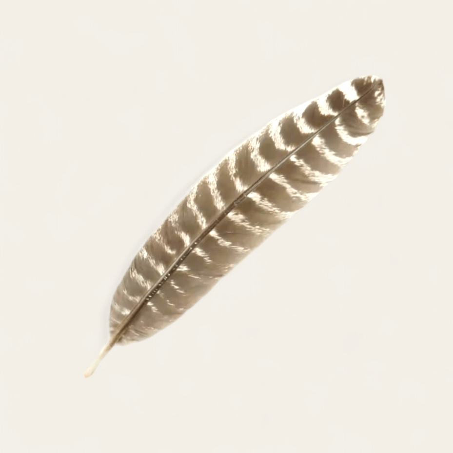 FEATHER PHEASANT - RebelSoulHatx