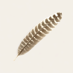 FEATHER PHEASANT